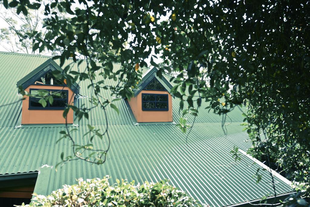 Escarpment Retreat & Day Spa For Couples Mount Tamborine Luaran gambar