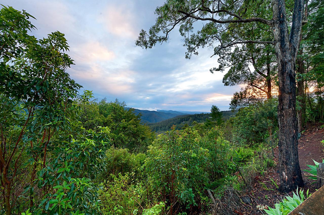 Escarpment Retreat & Day Spa For Couples Mount Tamborine Luaran gambar