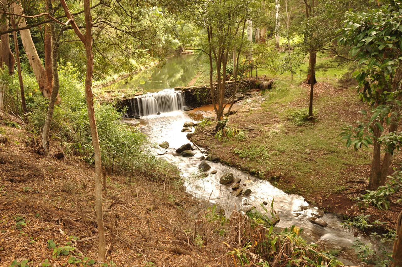 Escarpment Retreat & Day Spa For Couples Mount Tamborine Luaran gambar