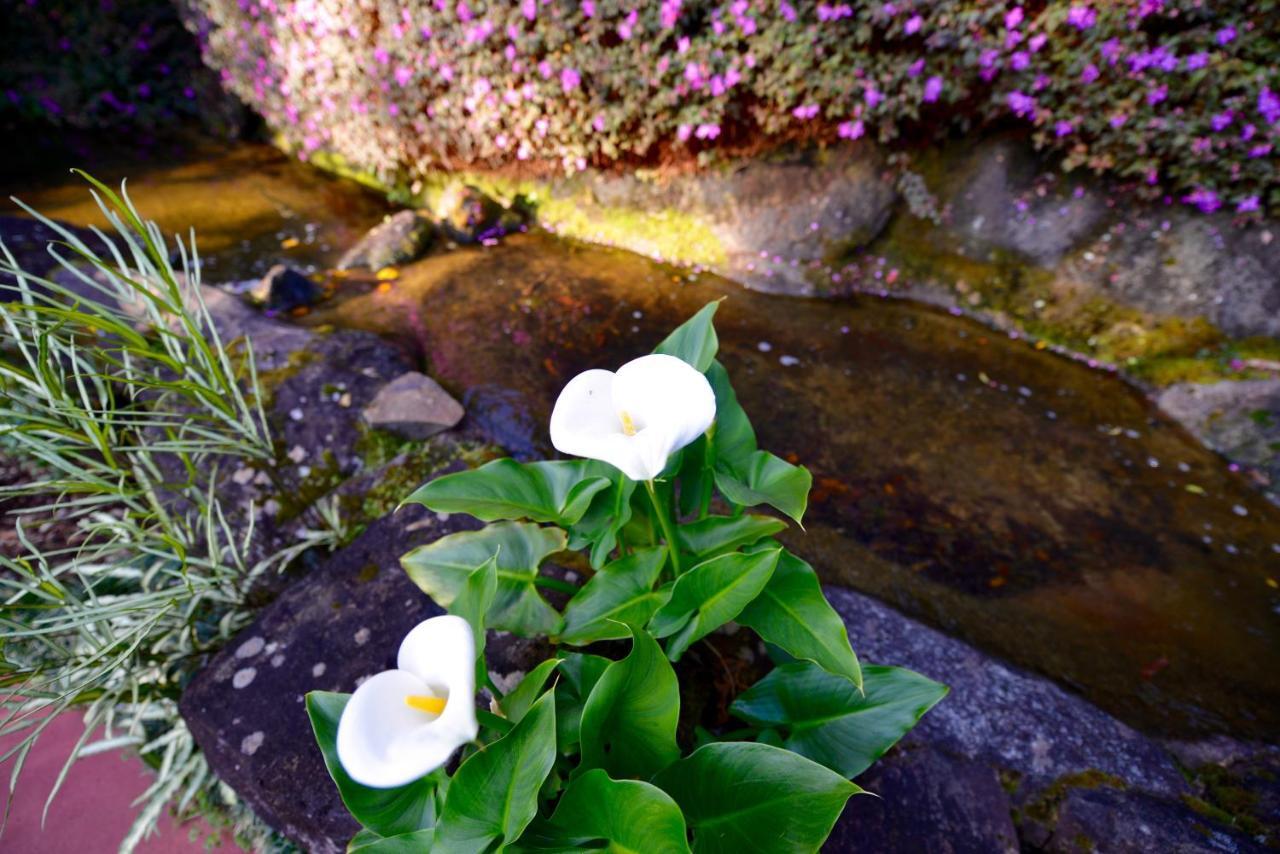 Escarpment Retreat & Day Spa For Couples Mount Tamborine Luaran gambar